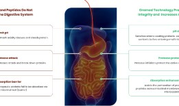 首个口服胰岛素未能获批，企业回应是主动撤回申报|界面新闻