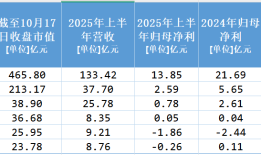 【深度】钛白粉老大龙佰集团背水一战|界面新闻 · 证券