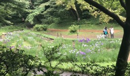 花开之处，便是故地|界面新闻 · 旅行