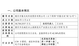 宇隆光电再启IPO：与兄弟公司莱特光电客户重合，均高度依赖京东方|界面新闻 · 证券