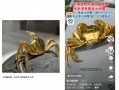 售价50万元的“黄金大闸蟹”被指侵权，山姆涉事门店紧急下架|界面新闻