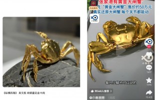 售价50万元的“黄金大闸蟹”被指侵权，山姆涉事门店紧急下架|界面新闻