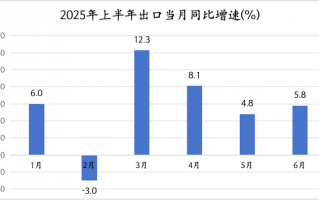 上半年出口同比增长5.9%，韧性来自哪里？ | 中国经济半年报①|界面新闻