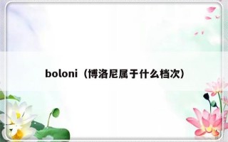 boloni（博洛尼属于什么档次）