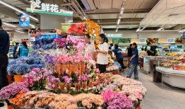 盒马双业态加速扩张，非一线市场成为新增长极|界面新闻