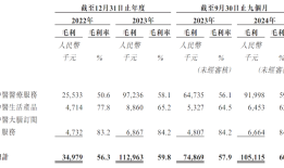 IPO雷达｜冲“AI+中医”第一股！专注癌重症及疑难症治疗的问止中医，年研发支出不足千万|界面新闻 · 证券