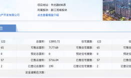 2025开年双盘售罄，越秀抢收上海楼市小阳春？|界面新闻 · 地产