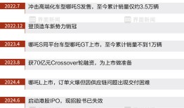 商业头条No.73 | 哪吒汽车，何至于此?|界面新闻 · 汽车