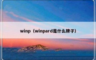 winp（winpard是什么牌子）