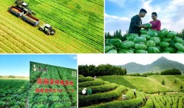 康师傅：“刀刃向内”撕开方便面新战场|界面新闻