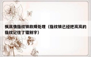 枫岚情指纹锁故障处理（指纹锁已经把岚岚的指纹记住了错别字）