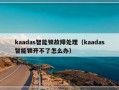 kaadas智能锁故障处理（kaadas智能锁开不了怎么办）