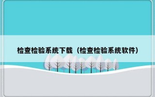 检查检验系统下载（检查检验系统软件）