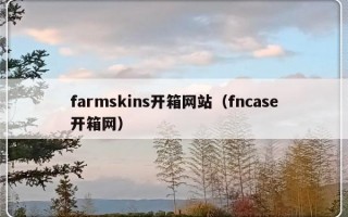 farmskins开箱网站（fncase开箱网）