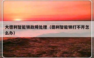 大德利智能锁故障处理（德利智能锁打不开怎么办）