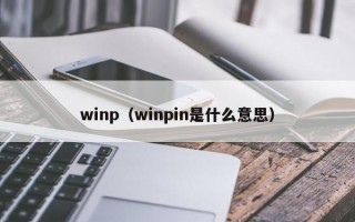 winp（winpin是什么意思）