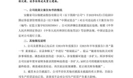 因涉嫌信息披露违法违规，肥料公司司尔特被立案调查|界面新闻 · 证券
