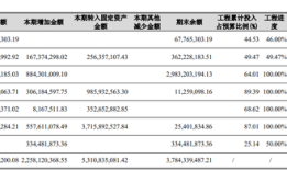 193亿押注绿氢绿氨，激进投资会影响君正集团现金流吗？|界面新闻 · 证券