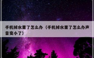 手机掉水里了怎么办（手机掉水里了怎么办声音变小了）