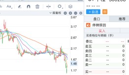 触发退市申请听证，*ST中程指摘审计机构未尽其力、推卸责任|界面新闻 · 证券