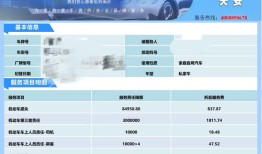 投教·保险｜买车险遇到“李鬼”， 如何避免买到假保单？|界面新闻