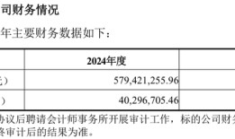 【深度】“壳王”张金成操盘，群兴玩具加入华为“朋友圈”|界面新闻 · 证券