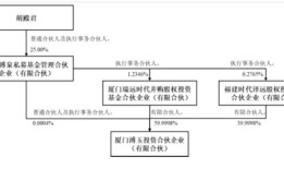 上市三年嘉戎技术就要卖壳，资本玩家和宁德时代在下一盘怎样的棋？|界面新闻 · 证券