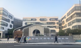 宗馥莉辞职，一段潜伏近30年的矛盾浮出水面|界面新闻