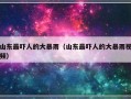 山东最吓人的大暴雨（山东最吓人的大暴雨视频）