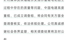 电站大坝被指偷工减料，中国电建称已成立调查组|界面新闻 · 地产