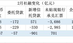 2月“强社融”的双面叙事：信贷需求不足，政府债强劲|界面新闻