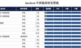 百利天恒获80亿授信，暂缓IPO后继续“输血”国际化|界面新闻