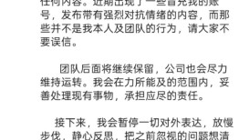 陈震发文称停更反思，因偷税被追缴并罚款超247万元|界面新闻 · 汽车