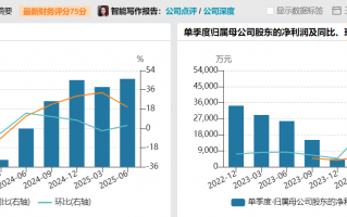 财说| 高增长叙事还能讲多久？锦江航运运力扩张存隐忧|界面新闻 · 证券