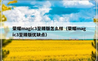 荣耀magic3至臻版怎么样（荣耀magic3至臻版优缺点）