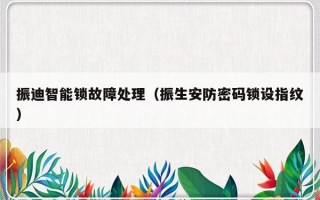 振迪智能锁故障处理（振生安防密码锁设指纹）
