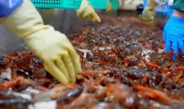 小龙虾退潮，预制菜公司“裸奔”|界面新闻