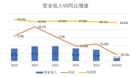 财说| 良品铺子控制权争夺战：国资接盘背后的战略摇摆与财务困局|界面新闻 · 证券