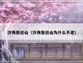 沙海张日山（沙海张日山为什么不老）