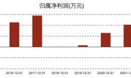 白云山制药需要新“爆款”|界面新闻