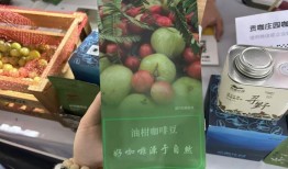 五一假期，上海国际咖啡节“人从众”|界面新闻