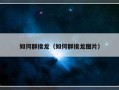 如何群接龙（如何群接龙图片）