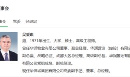 华侨城迎来新掌舵人，华润系老将吴秉琪接棒总经理一职|界面新闻 · 地产