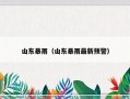 山东暴雨（山东暴雨最新预警）