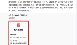 西贝发文致歉，于东来及华与华董事长力挺，罗永浩逐一回应|界面新闻