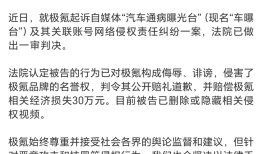 一自媒体侵害极氪名誉权，被判道歉并赔偿30万元|界面新闻 · 汽车