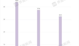海拍客背靠29万个母婴店和乡镇妈妈冲向港交所|界面新闻