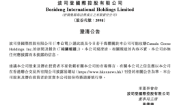 收购加拿大鹅？安踏和波司登先后否认|界面新闻