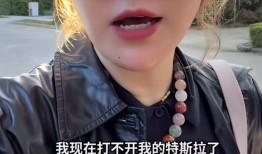 杨天真称特斯拉打不开车门，客服：系统更新中建议不要动车|界面新闻 · 汽车