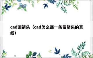 cad画箭头（cad怎么画一条带箭头的直线）